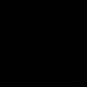 Meet your Posher, Kendall